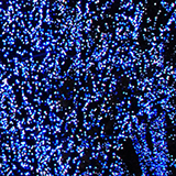 イルミネーションの写真